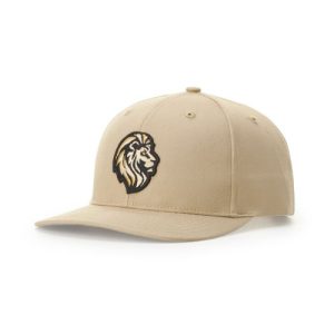 PRO TWILL SNAPBACK