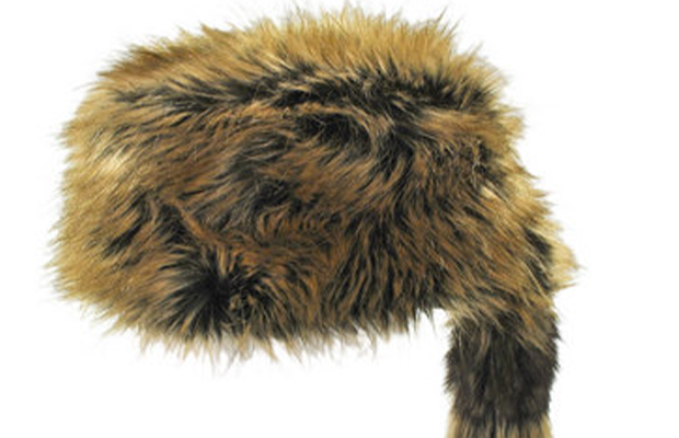 Coonskin Cap
