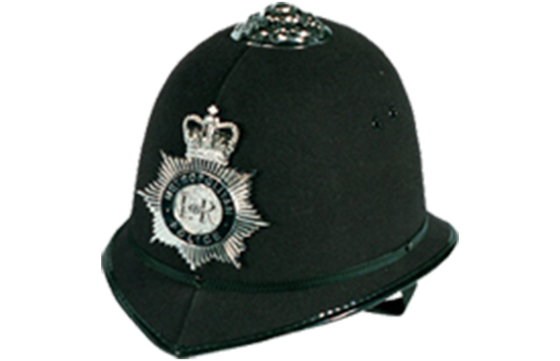 Custodian helmet